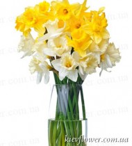 Bouquet of narcissius
